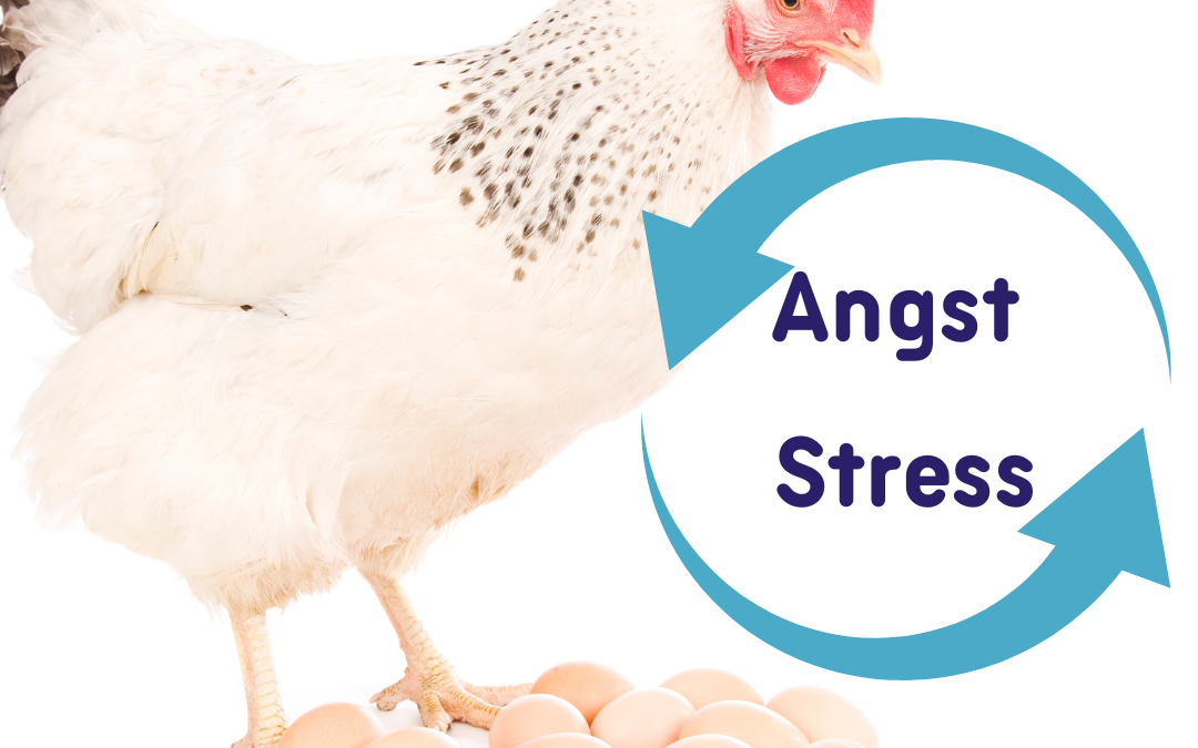 Wat is er eerder? Angst of stress?