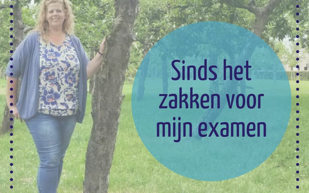 Sinds het zakken voor mijn examen